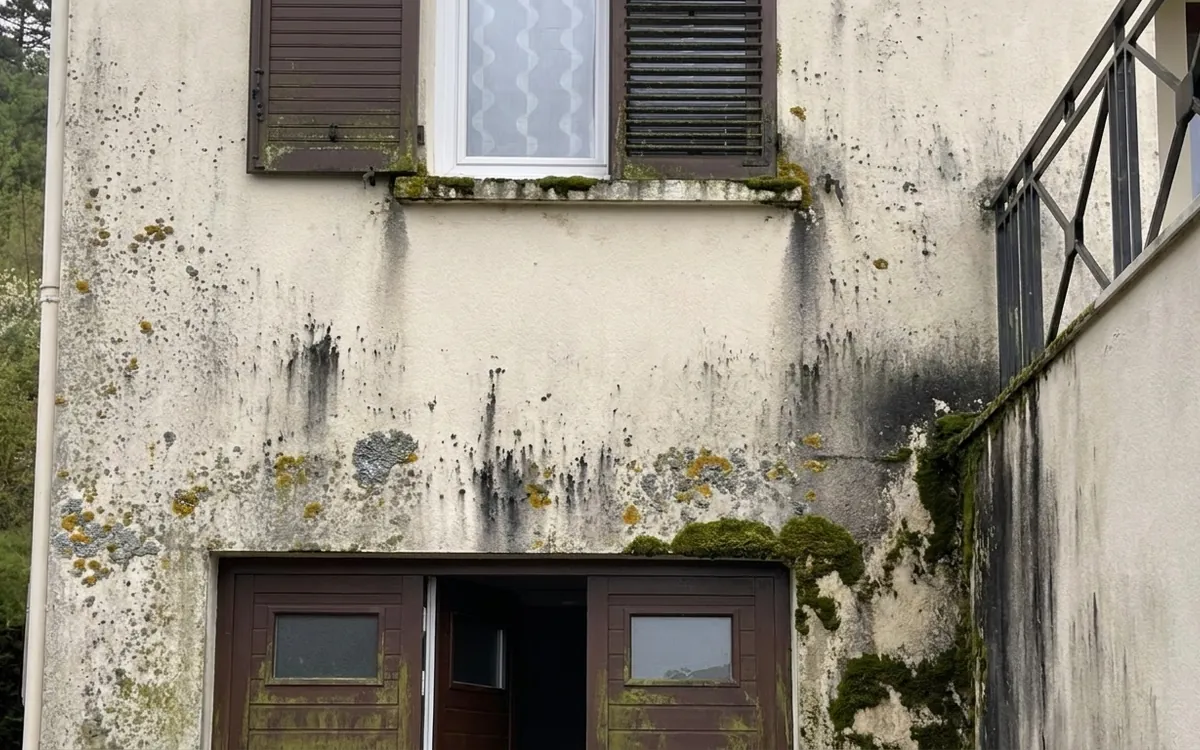 Illustration : mousses, algues et traînées noires sur une façade peu ensoleillée